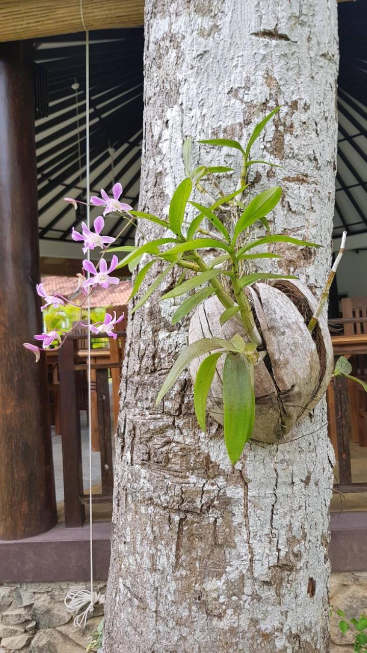 Nature Paradise Villa Balapitiya Exterior foto